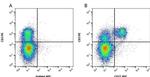 CD27 Antibody in Flow Cytometry (Flow)