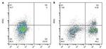 CD3 Antibody in Flow Cytometry (Flow)