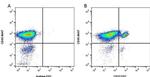 CD31 (PECAM-1) Antibody in Flow Cytometry (Flow)