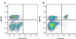 CD4 Antibody in Flow Cytometry (Flow)