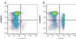 CD4 alpha Antibody in Flow Cytometry (Flow)