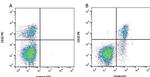 CD40 Antibody in Flow Cytometry (Flow)