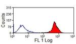 CD44 Antibody in Flow Cytometry (Flow)
