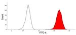 CD45 Antibody in Flow Cytometry (Flow)