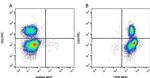 CD45 Antibody in Flow Cytometry (Flow)