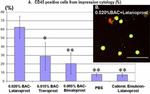 CD45 Antibody in Flow Cytometry (Flow)