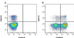 CD45RA Antibody in Flow Cytometry (Flow)