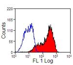 CD5 Antibody in Flow Cytometry (Flow)