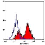 CD5 Antibody in Flow Cytometry (Flow)