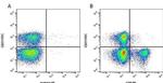 CD8 Antibody in Flow Cytometry (Flow)