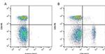 CD8 Antibody in Flow Cytometry (Flow)