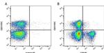 CD8 Antibody in Flow Cytometry (Flow)