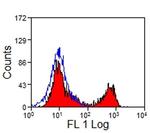 CD8 Antibody in Flow Cytometry (Flow)