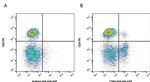 CD8 alpha Antibody in Flow Cytometry (Flow)