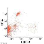 CD8 Antibody in Flow Cytometry (Flow)
