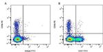 CD8b Antibody in Flow Cytometry (Flow)