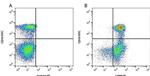 CD80 (B7-1) Antibody in Flow Cytometry (Flow)
