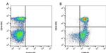 CD80 (B7-1) Antibody in Flow Cytometry (Flow)