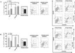 CD90 (Thy-1) Antibody in Flow Cytometry (Flow)