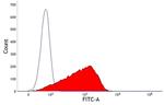 MHC I Monomorphic Antibody in Flow Cytometry (Flow)