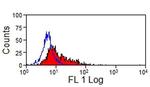 Pan B Cells Monoclonal Antibody (CVS36)