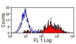 SLA Class II DR Antibody in Flow Cytometry (Flow)