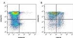 CD8 alpha Antibody in Flow Cytometry (Flow)