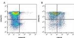 CD8 alpha Antibody in Flow Cytometry (Flow)
