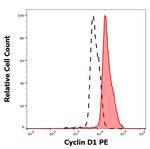 Cyclin D1 Monoclonal Antibody (DCS-6), PE