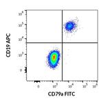 CD79a Monoclonal Antibody (HM57), FITC