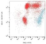 DUSP2 Antibody in Flow Cytometry (Flow)