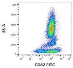 CD82 Monoclonal Antibody (C33), FITC