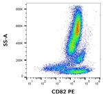 CD82 Monoclonal Antibody (C33), PE