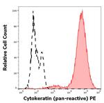 Pan Cytokeratin Monoclonal Antibody (C-11), PE