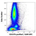 CD107b (LAMP-2) Antibody in Flow Cytometry (Flow)