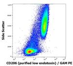 CD206 (MMR) Antibody in Flow Cytometry (Flow)