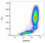CD148 Monoclonal Antibody (MEM-CD148/05), APC