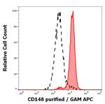 CD148 Monoclonal Antibody (MEM-CD148/05)