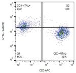 NTAL Monoclonal Antibody (NAP-07), PE