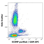 SCIMP Antibody in Flow Cytometry (Flow)