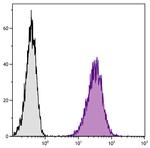CD80 (B7-1) Antibody in Flow Cytometry (Flow)