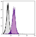 H-2Dk Monoclonal Antibody (15-5-5), Biotin