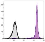 CD45 Antibody in Flow Cytometry (Flow)
