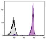 CD45 Antibody in Flow Cytometry (Flow)