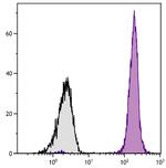 CD45 Antibody in Flow Cytometry (Flow)