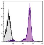 CD45 Antibody in Flow Cytometry (Flow)