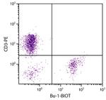 Bu-1 Monoclonal Antibody (AV20), Biotin