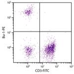 Bu-1 Monoclonal Antibody (AV20), PE