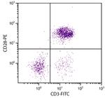 CD28 Antibody in Flow Cytometry (Flow)