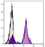 CD28 Antibody in Flow Cytometry (Flow)